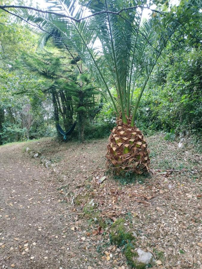 El Bosque De Pria 호텔 피네레스 외부 사진